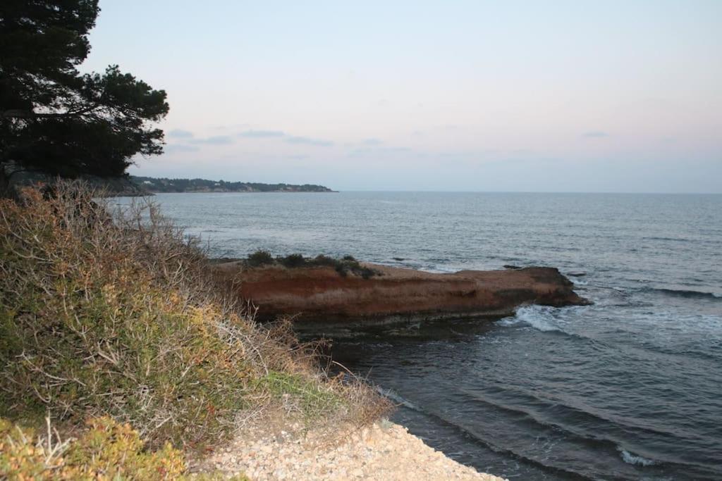 Preciosas Vistas Al Mar Y Montana En La Ampolla Διαμέρισμα L'Ampolla Εξωτερικό φωτογραφία
