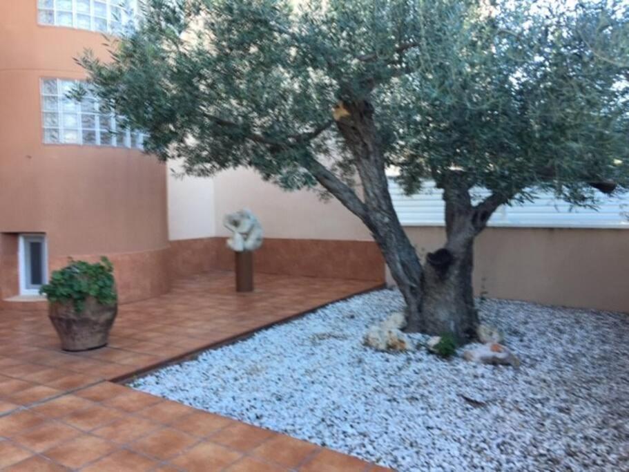 Preciosas Vistas Al Mar Y Montana En La Ampolla Διαμέρισμα L'Ampolla Εξωτερικό φωτογραφία